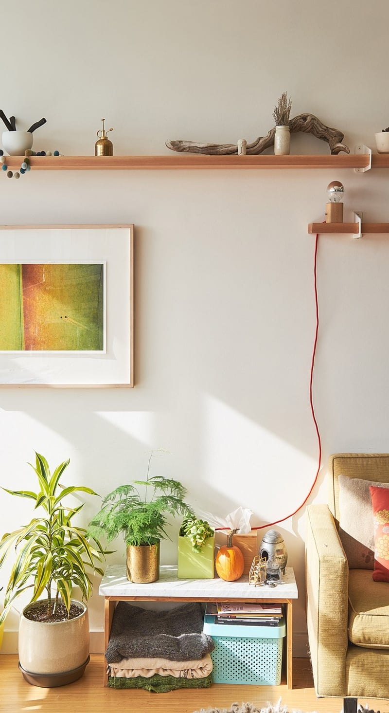 Ladder Shelf Vertical Garden